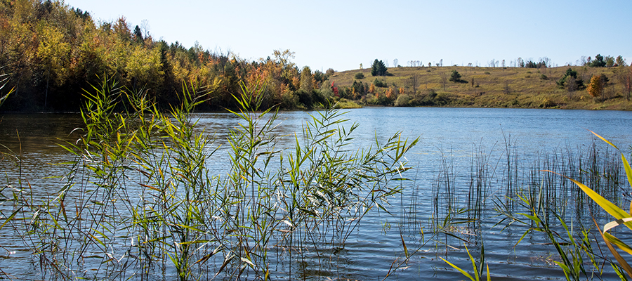 Toronto and the Red Arrows